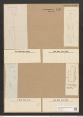 Amphiprora plicata var. subplicata Grun. (de-Toni-Nr.: Genus 29, Species 1309) Zeichnungen Sammlung Grunow Nr. 2522 (NHMW-BOT-W0369689)